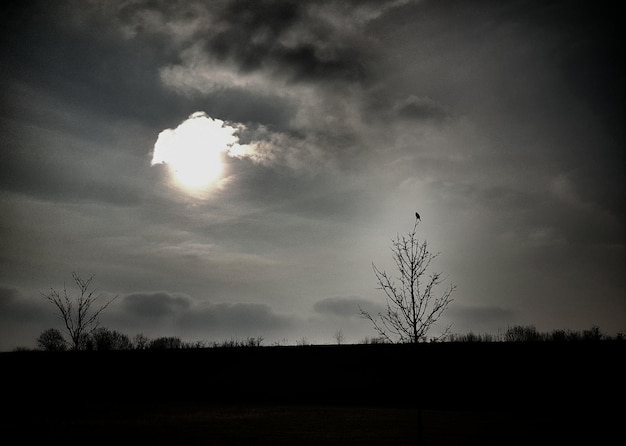 Silhouette of trees against cloudy sky