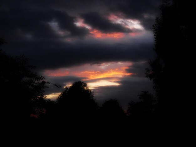 Foto silhouette di alberi contro un cielo nuvoloso