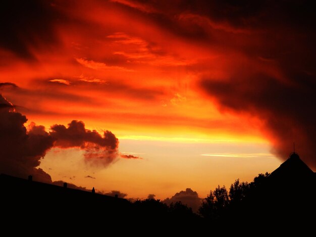 Foto silhouette di alberi contro un cielo nuvoloso