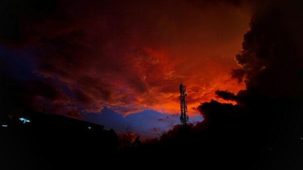 silhouette of trees against cloudy sky