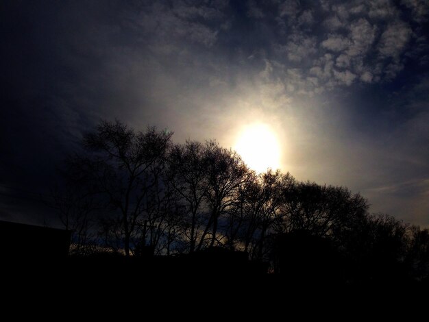 Foto silhouette di alberi contro un cielo nuvoloso