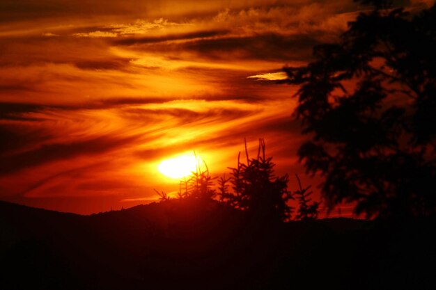 Silhouette trees against dramatic sky during sunset