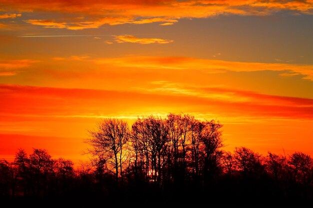 Silhouette trees against dramatic sky during sunset