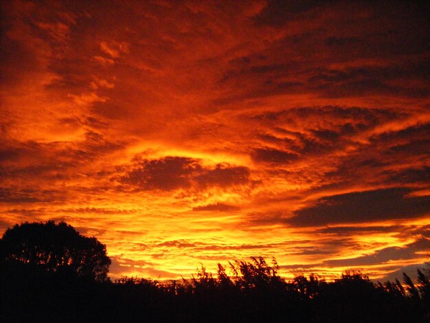 Silhouette trees against dramatic sky during sunset