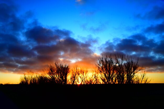 Silhouette trees against dramatic sky during sunset