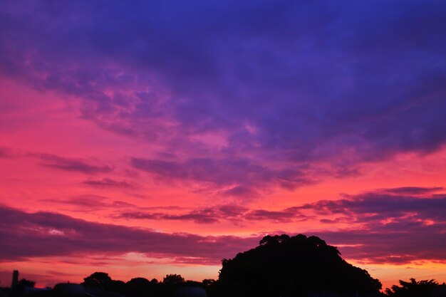 Silhouette trees against dramatic sky during sunset