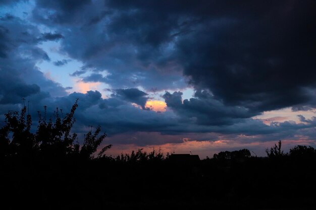 Foto silhouette di alberi contro il cielo drammatico durante il tramonto