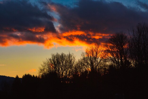 Silhouette trees against dramatic sky during sunset