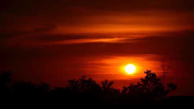 Silhouette trees against dramatic sky during sunset