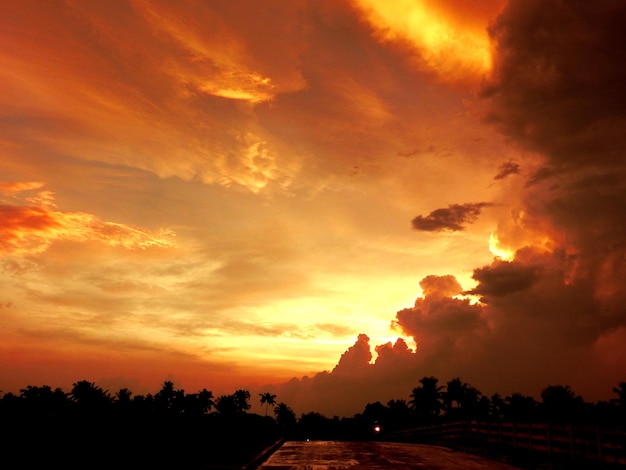 Silhouette trees against dramatic sky during sunset