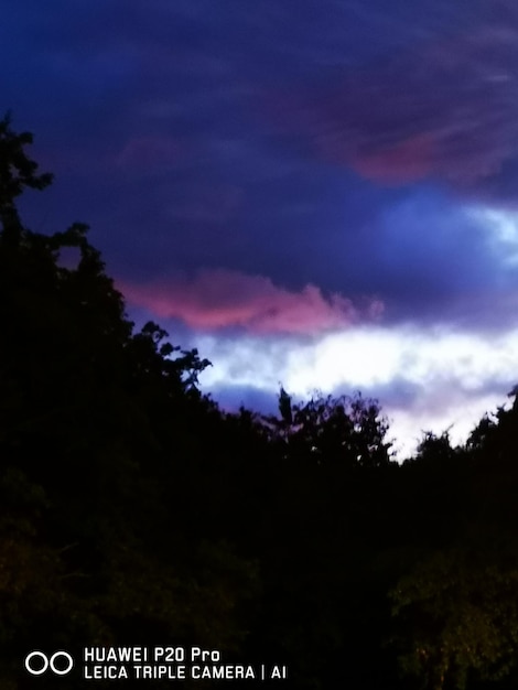 Silhouette of trees against dramatic sky