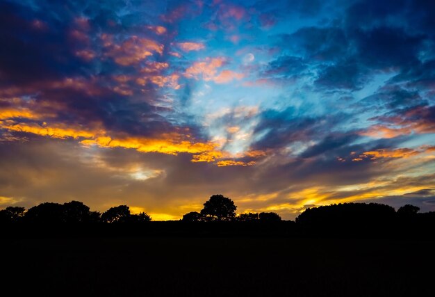 Silhouette of trees against dramatic sky