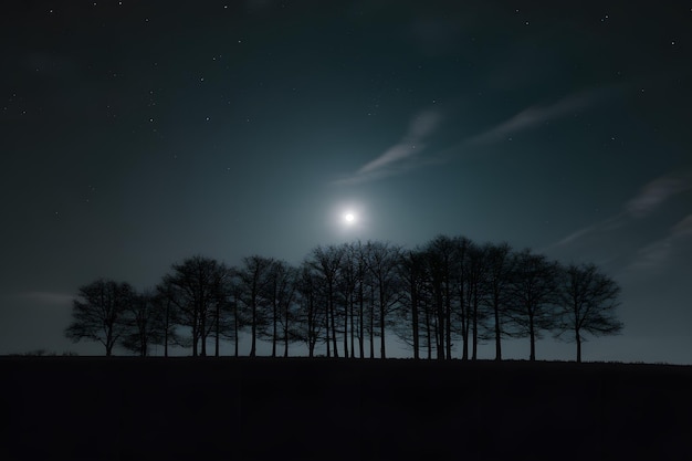 Silhouette of trees against moonlit night sky background