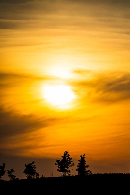 Photo silhouette trees against orange sky during sunset