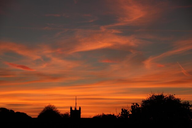 Silhouette trees against orange sky