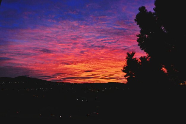 Foto silhouette di alberi sul cielo panoramico