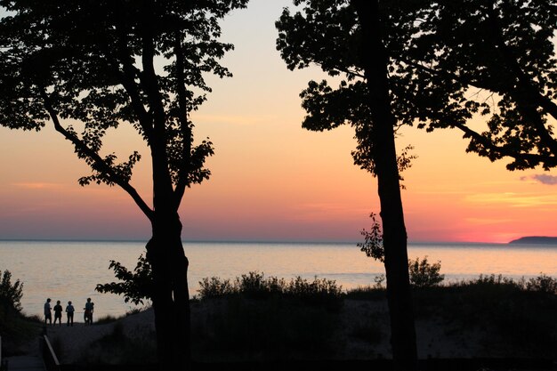 写真 夕暮れの海を背景に木のシルエット