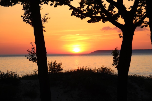 Silhouette trees against sea at sunset