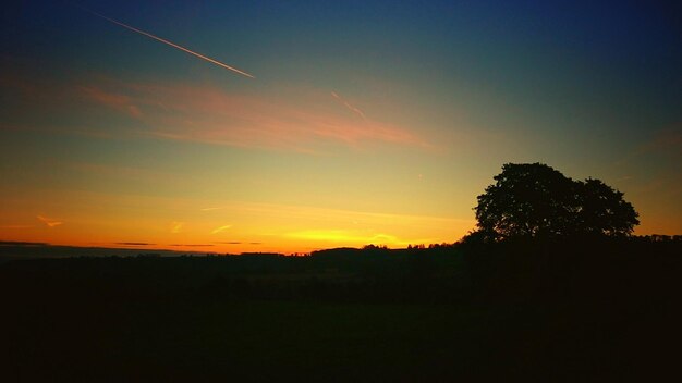 Silhouette trees against sky during sunset