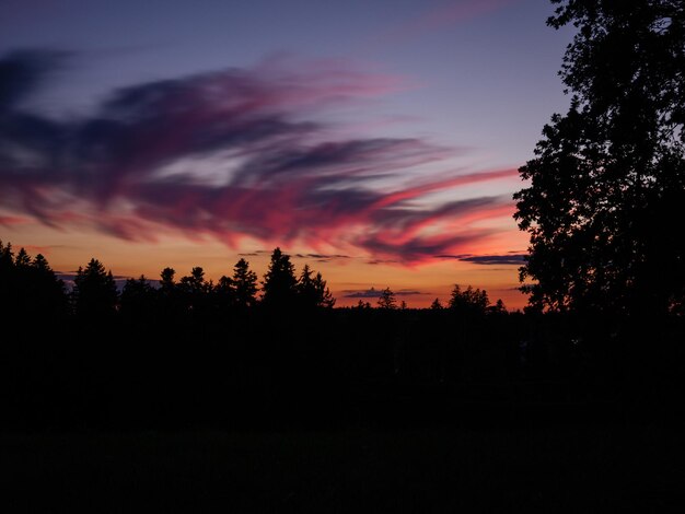 Silhouette trees against sky during sunset