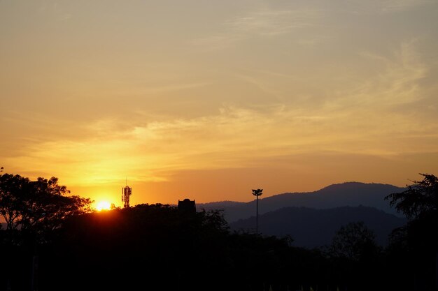 Silhouette trees against sky during sunset