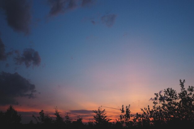 Photo silhouette trees against sky during sunset