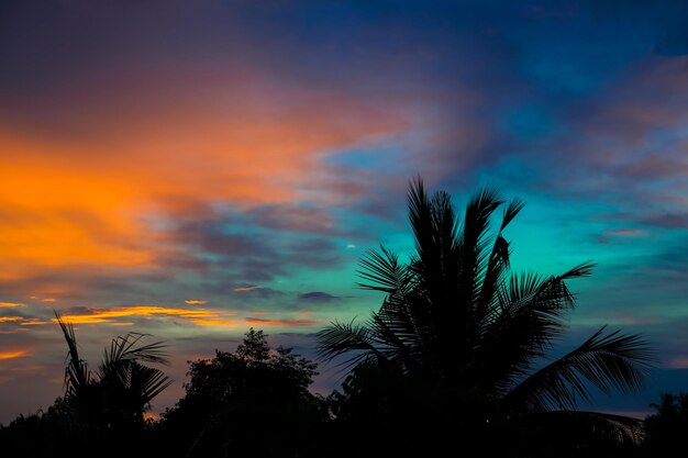 Silhouette trees against sky during sunset