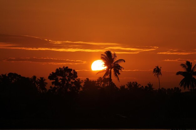 Silhouette trees against sky during sunset