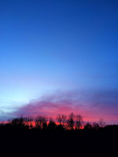 Silhouette trees against sky during sunset