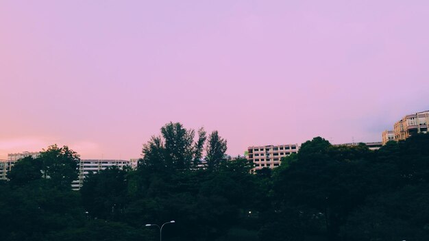 Silhouette trees against sky at night