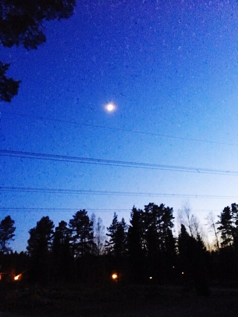 Silhouette trees against sky at night