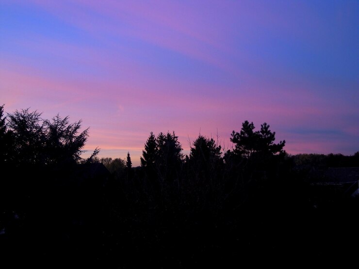 Photo 夕暮れの空を背景に木のシルエット