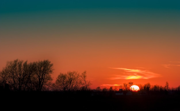 silhouette trees against sky during sunset
