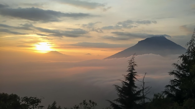 夕暮れの空に照らされた木のシルエット