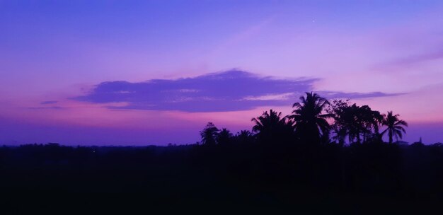 Silhouette trees against sky at sunset