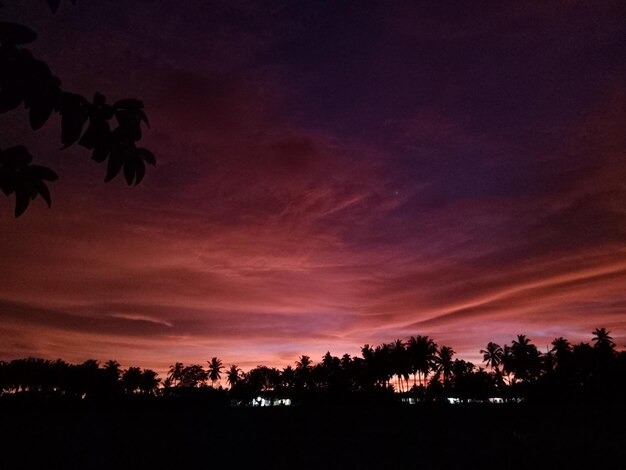 Silhouette trees against sky at sunset