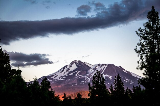 Photo silhouette trees against snow covered mountain peak