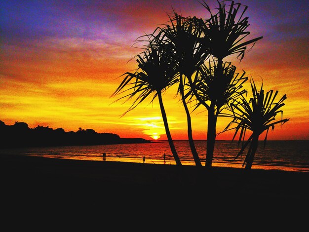 Silhouette trees on beach against romantic sky at sunset