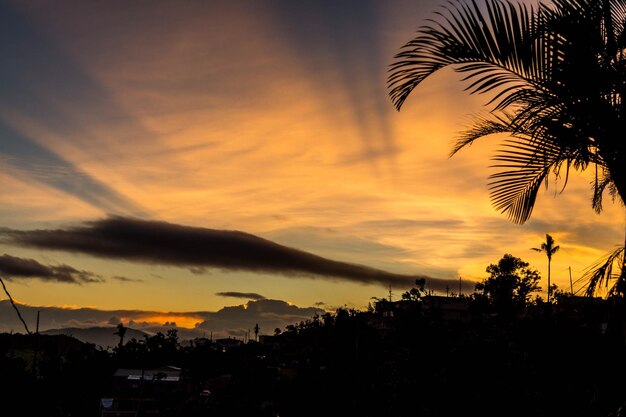 Photo silhouette trees and buildings against sky during sunset