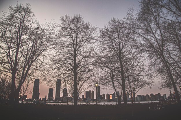 Photo silhouette trees and buildings against sky