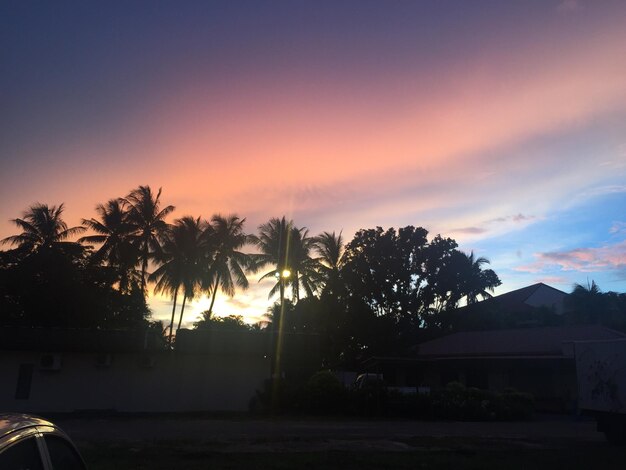 Silhouette trees by house against sky during sunset