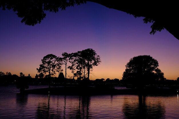 Silhouette trees by lake against clear sky at sunset