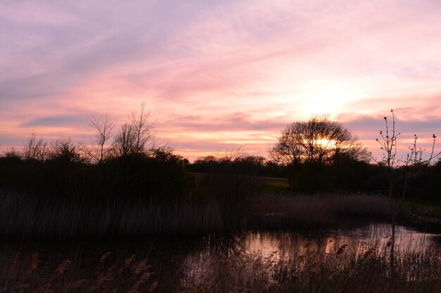 Silhouette trees by lake against romantic sky at sunset