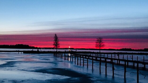 写真 夕暮れの空を背景に湖の木のシルエット