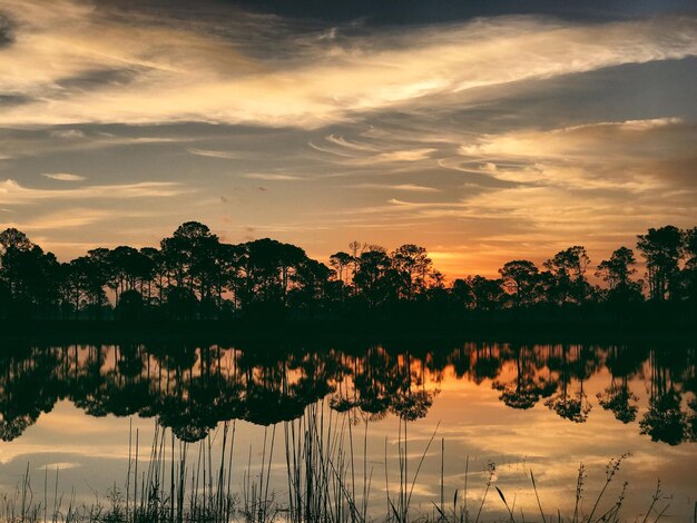 Foto silhouette di alberi sul lago contro il cielo durante il tramonto