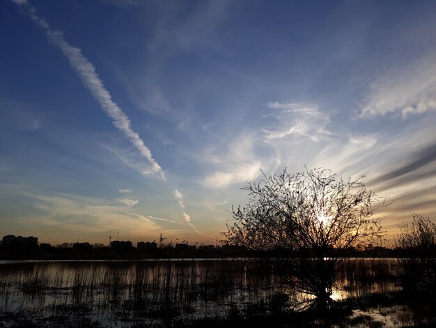 Silhouette trees by lake against sky during sunset