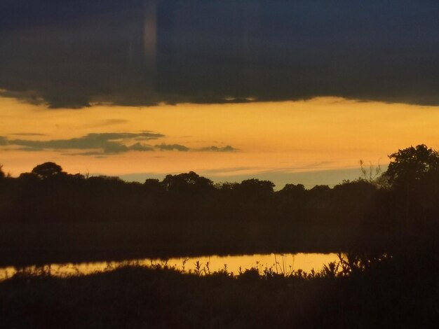 Silhouette trees by lake against sky during sunset