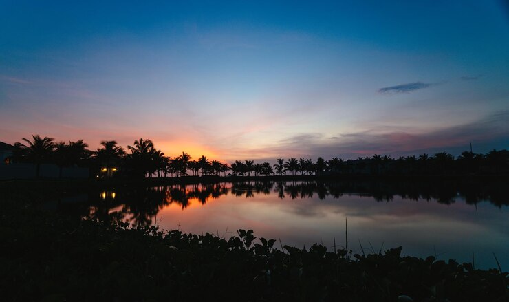 Photo 夕暮れの空を背景に湖の木のシルエット