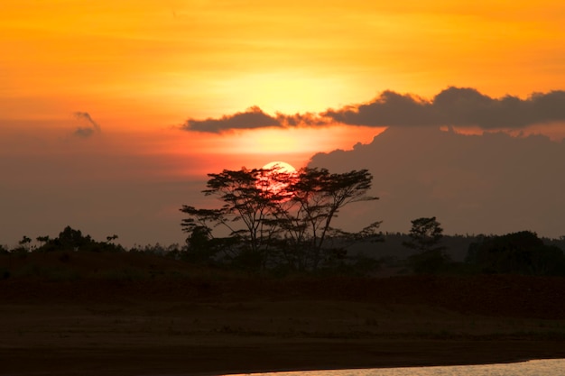 夕暮れの空を背景に湖の木のシルエット