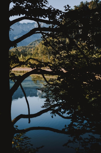 Photo silhouette trees by lake against sky